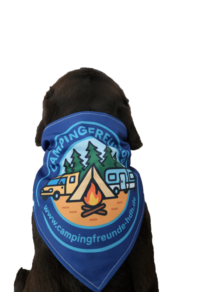 Campinghund Baily